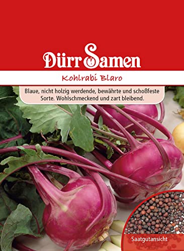 Dürr-Samen - Kohlrabi Blaro Saatgut von Dürr-Samen