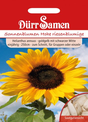 Dürr Samen 0628 Sonnenblume riesenblumig (Sonnenblumensamen) von Dürr-Samen