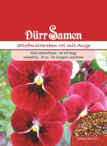 Stiefmütterchen Samen Rot mit Auge Stiefmütterchensamen Veilchen ca 200 Korn Saatgut Blumensamen Garten Hochbeet Balkonkasten Kübel Dürr Samen von Dürr-Samen