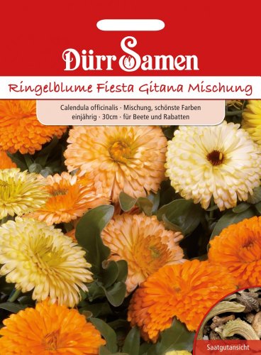 Dürr Samen 0921 Ringelblume Fiesta Gitana Mischung (Ringelblumensamen) von Dürr-Samen
