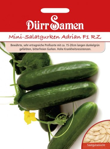 Dürr Samen 1013 Mini-Salatgurke Adrian F1 RZ (Salatgurkensamen) von Dürr-Samen