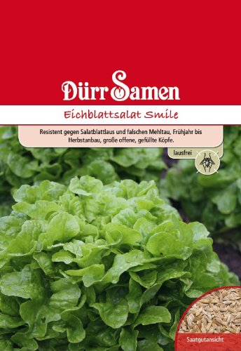 Dürr Samen 1117 Eichblattsalat Smile grün (Eichblattsalatsamen) von Dürr-Samen