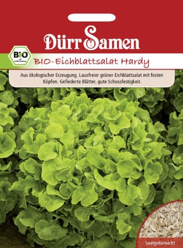Dürr Samen 1135 Eichblattsalat Hardy (Biosamen) von Dürr-Samen