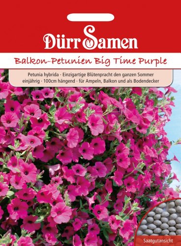 Dürr Samen 1954 Balkonpetunie Big Time Purple (Balkonpetuniensamen) von Dürr-Samen