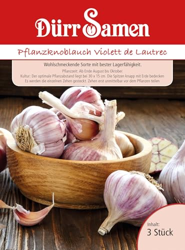 Dürr Samen 3999 Winter-Pflanzknoblauch Violett de Lautrec (Steckknoblauch) (3 Stück) Pflanzknoblauch von Dürr-Samen