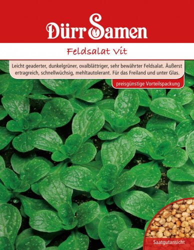 Dürr Samen 4109 Feldsalat Vit 250 g (Feldsalatsamen) von Dürr-Samen