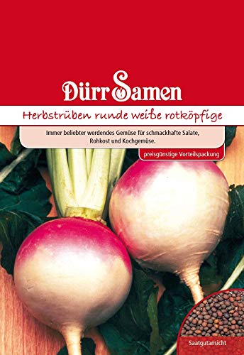 Dürr Samen 4122 Herbstrübe Runde Weiße Rotköpfige Vorteilspackung (Herbstrübensamen) von Dürr-Samen