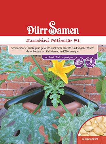 Topf Zucchini Samen Patiostar F1 Zucchinisamen Gemüsesamen 4 Korn Garten Hochbeet Balkon Saatgut Dürr Samen von Dürr-Samen