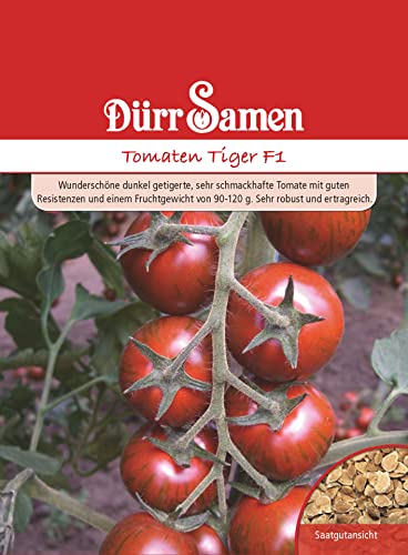 Dürr Samen 4144 Tomate Tiger F1 (Tomatensamen) von Dürr-Samen