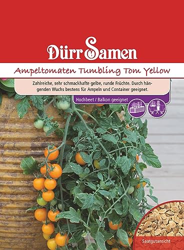 Gelbe Tomaten Samen Ampeltomate Tumbling Tom Yellow Tomatensamen ca 10 Korn Saatgut Robust Ertragreich Garten Hochbeet Kübel Dürr Samen von Dürr-Samen