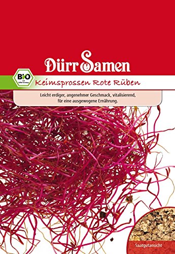 Dürr Samen 4180 Keimsprossen Rote Rübe (Bio-Keimsprossen) von Dürr-Samen