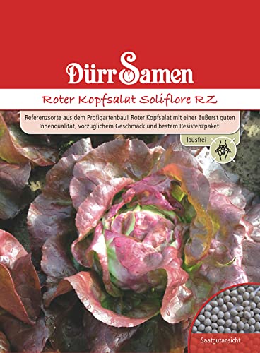 Dürr-Samen - Roter Kopfsalat Soliflore RZ Saatgut von Dürr-Samen
