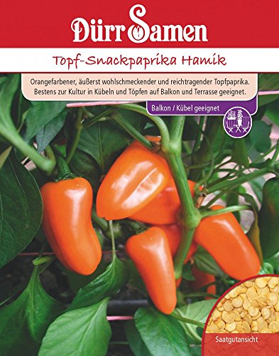 Dürr Samen 4278 Topf-Snackpaprika Hamik (Paprikasamen) von Dürr-Samen