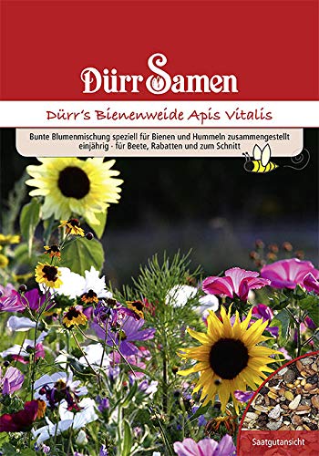 Dürr Samen 4318 Bienen- und Hummelweide Apis Vitalis (1 kg) (Blumensamen) von Dürr-Samen