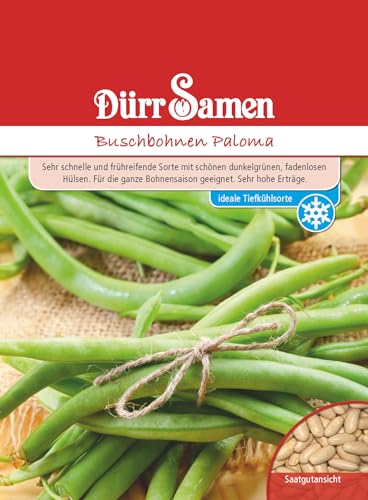 Buschbohnen Samen Paloma Bohnensamen Grüne Bohnen ca 100 Korn Saatgut Gemüse Garten Hochbeet Kübel Dürr Samen von Dürr-Samen