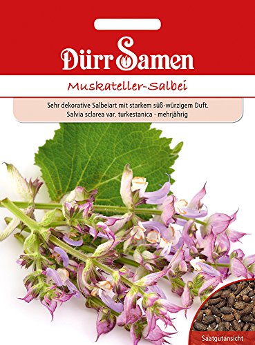 Dürr-Samen - Muskateller-Salbei Saatgut von Dürr-Samen