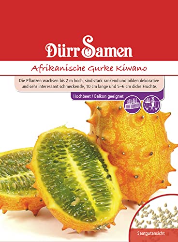 Gurken (Afrikanische Gurke) von Dürr-Samen