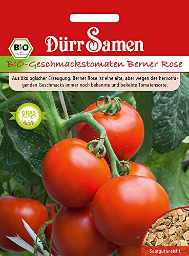 Bio Tomaten Samen Berner Rose Geschmackstomate Rote Tomate Tomatensamen ca 20 Korn Ertragreich Saatgut Garten Hochbeet Kübel Dürr Samen von Dürr-Samen