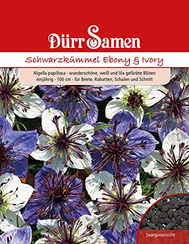 Dürr Samen 4518 Schwarzkümmel/Nigella Ebony & Ivory (Schwarzkümmelsamen) von Dürr-Samen