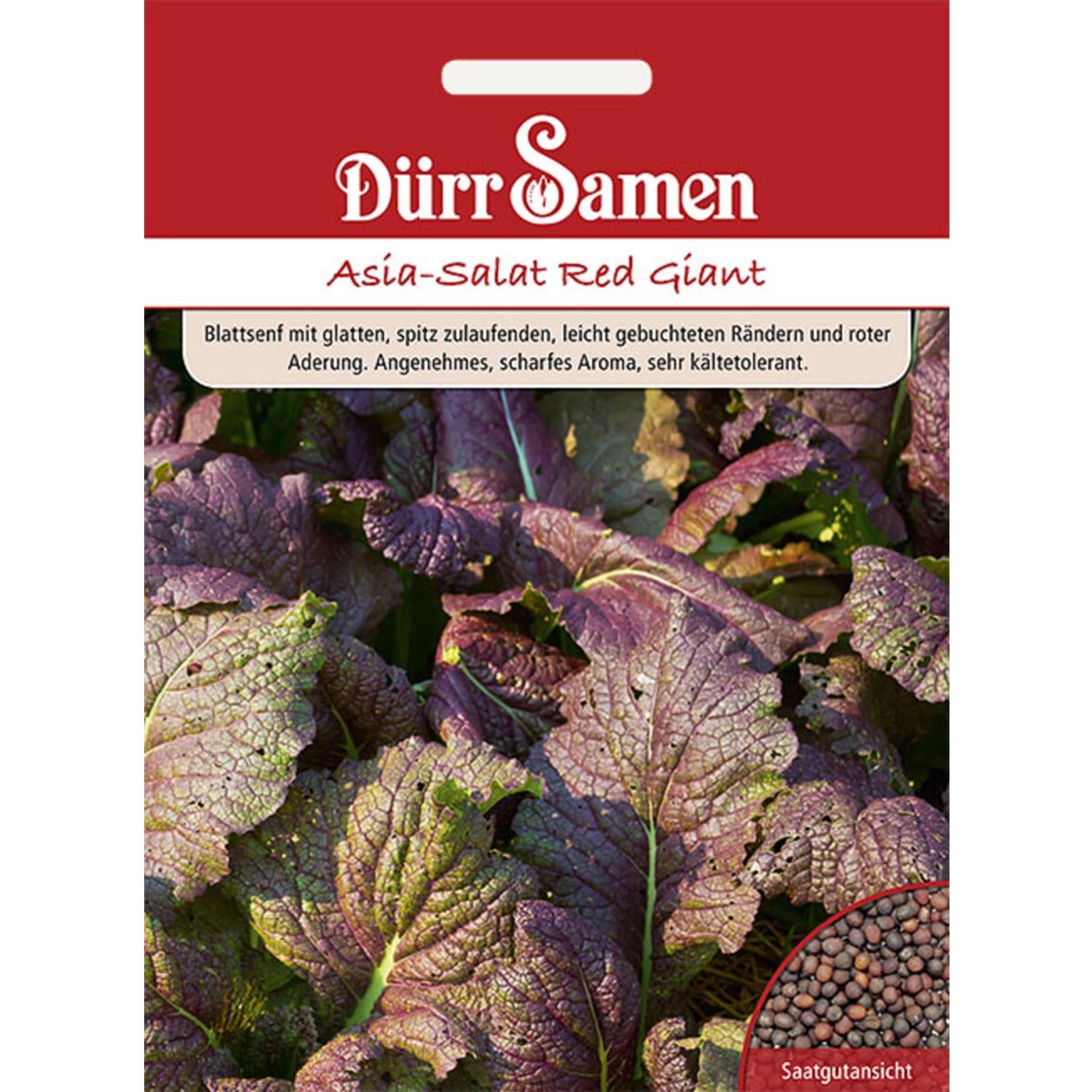 Dürr Samen Asia-Salat Red Giant Saatgut Dürr Samen Asia-Salat Red Giant Saatgut von Dürr Samen