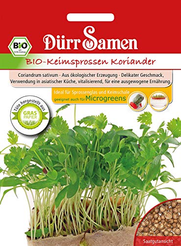 Dürr Samen BIO Keimsprossen Koriander Inhalt 20 g | Sprossen sind Eiweiß Quelle und reich an Vitamin C B E | Proteine, Mineralstoffe & Mikronährstoffe von Dürr-Samen