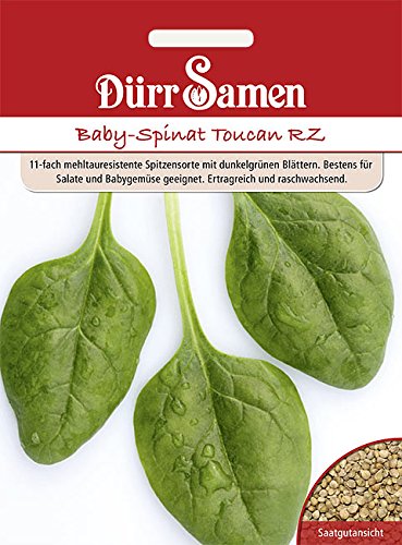 Dürr-Samen - Babyspinat Toucan RZ Saatgut von Dürr-Samen
