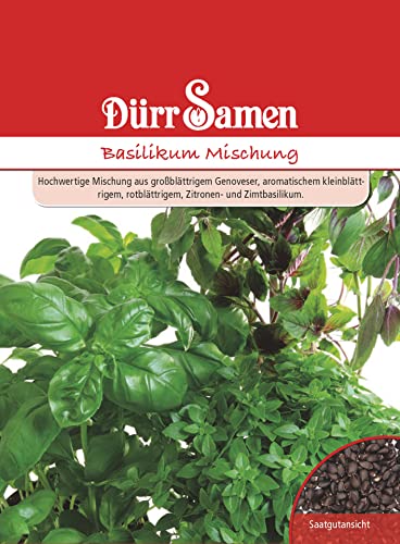 Basilikum Samen Mischung Basilikumsamen ca 650 Korn Küchenkräuter Kräutersamen Saatgut Balkon Garten Hochbeet Kübel Dürr Samen von Dürr-Samen