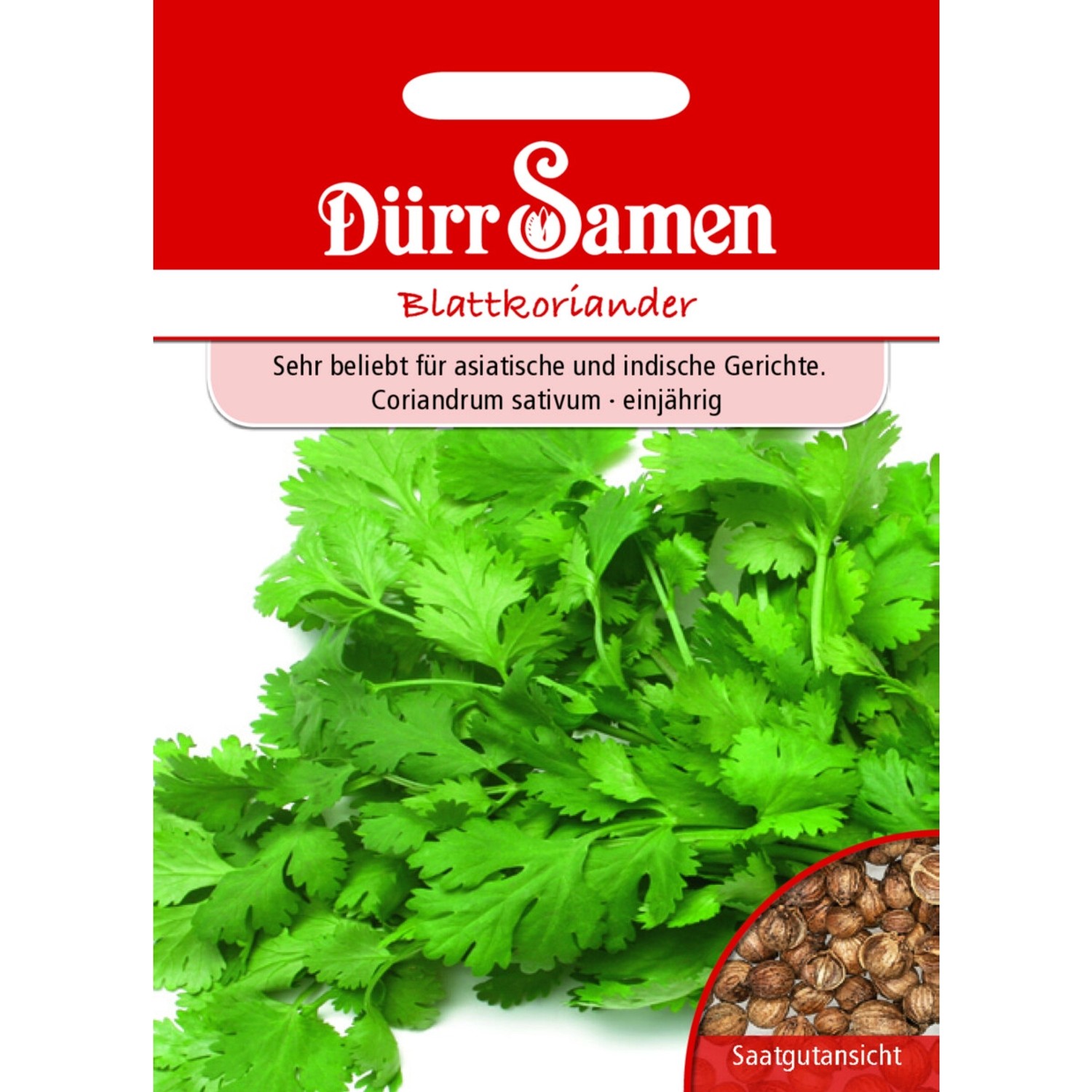 Dürr Samen Blattkoriander Saatgut Dürr Samen Blattkoriander Saatgut von Dürr Samen