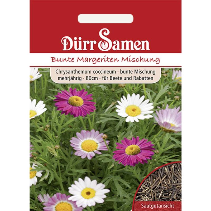 Dürr Samen Bunte Margeriten Bunte Mischungmehrjährig Saatgut von Dürr Samen