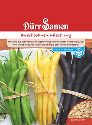 Buschbohnen Samen Mischung Bohnensamen Grüne Gelbe Blaue Bohnen ca 100 Korn Saatgut Gemüse Garten Hochbeet Kübel Dürr Samen Buschbohnen Samen Mischung Bohnensamen Grüne Gelbe Blaue Bohnen ca 100 Korn Saatgut Gemüse Garten Hochbeet Kübel Dürr Samen von Dürr-Samen