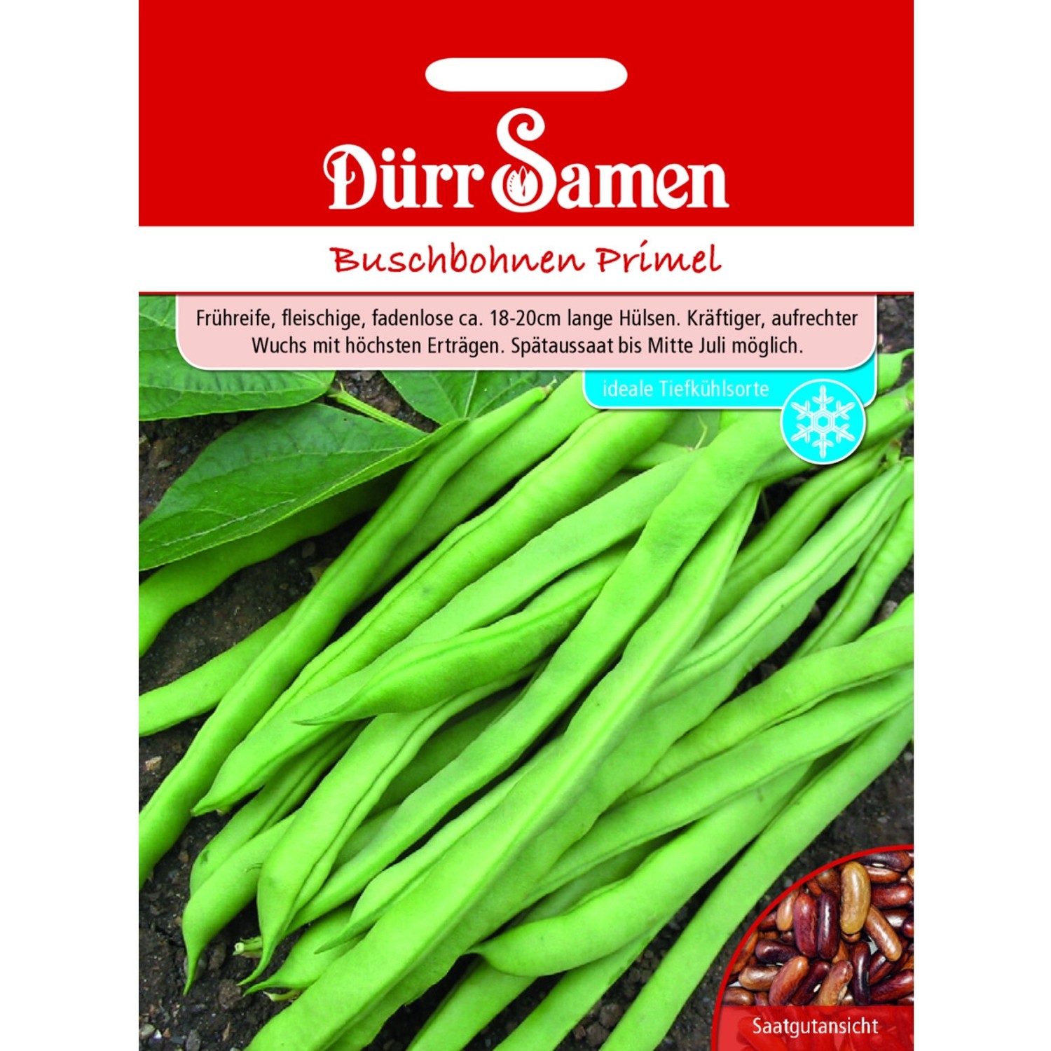 Dürr Samen Buschbohnen Primel Saatgut Dürr Samen Buschbohnen Primel Saatgut von Dürr Samen