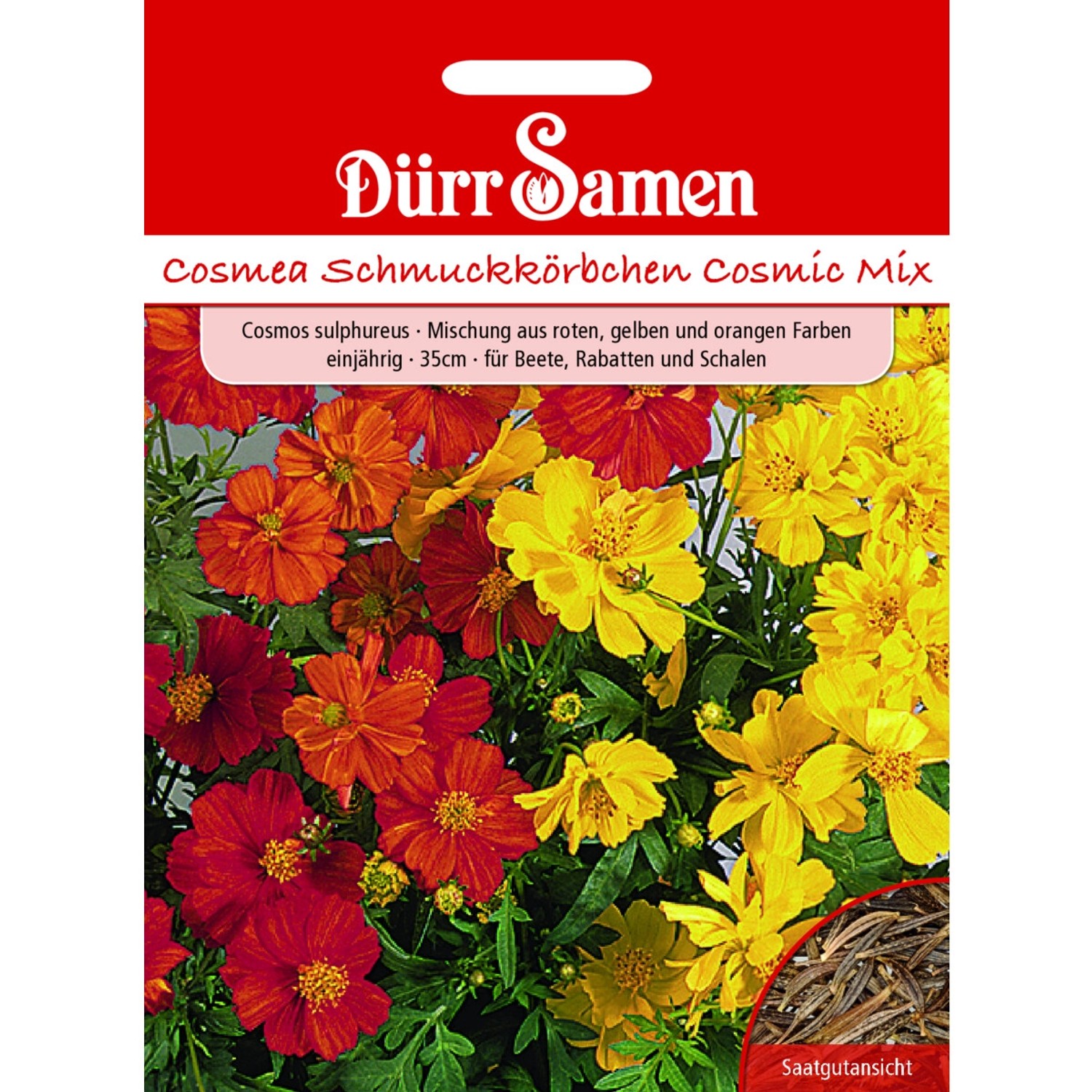 Dürr Samen Cosmea Cosmic Mix Gelb Rote Orange Töne Einjährig Saatgut Dürr Samen Cosmea Cosmic Mix Gelb Rote Orange Töne Einjährig Saatgut von Dürr Samen