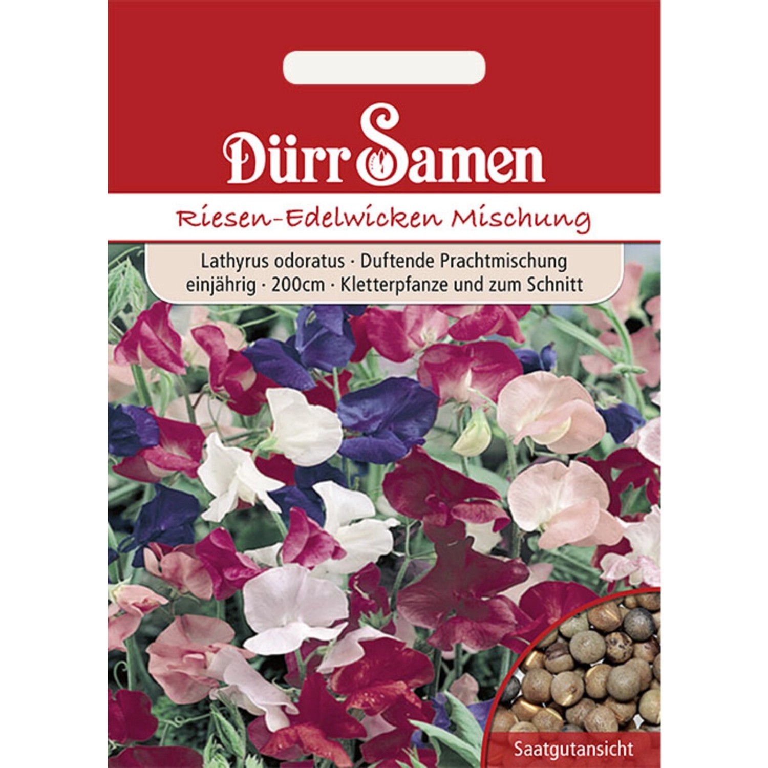 Dürr Samen Edelwicken Prachtmischung Einjährig Saatgut Dürr Samen Edelwicken Prachtmischung Einjährig Saatgut von Dürr Samen