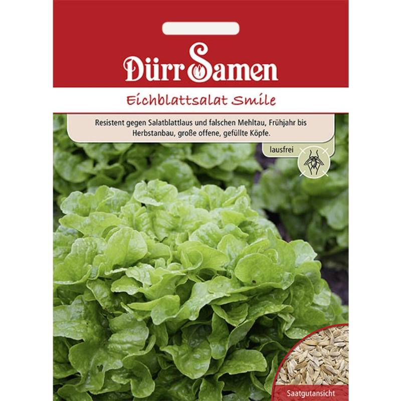 Dürr Samen Eichblattsalat Smile Saatgut von Dürr Samen