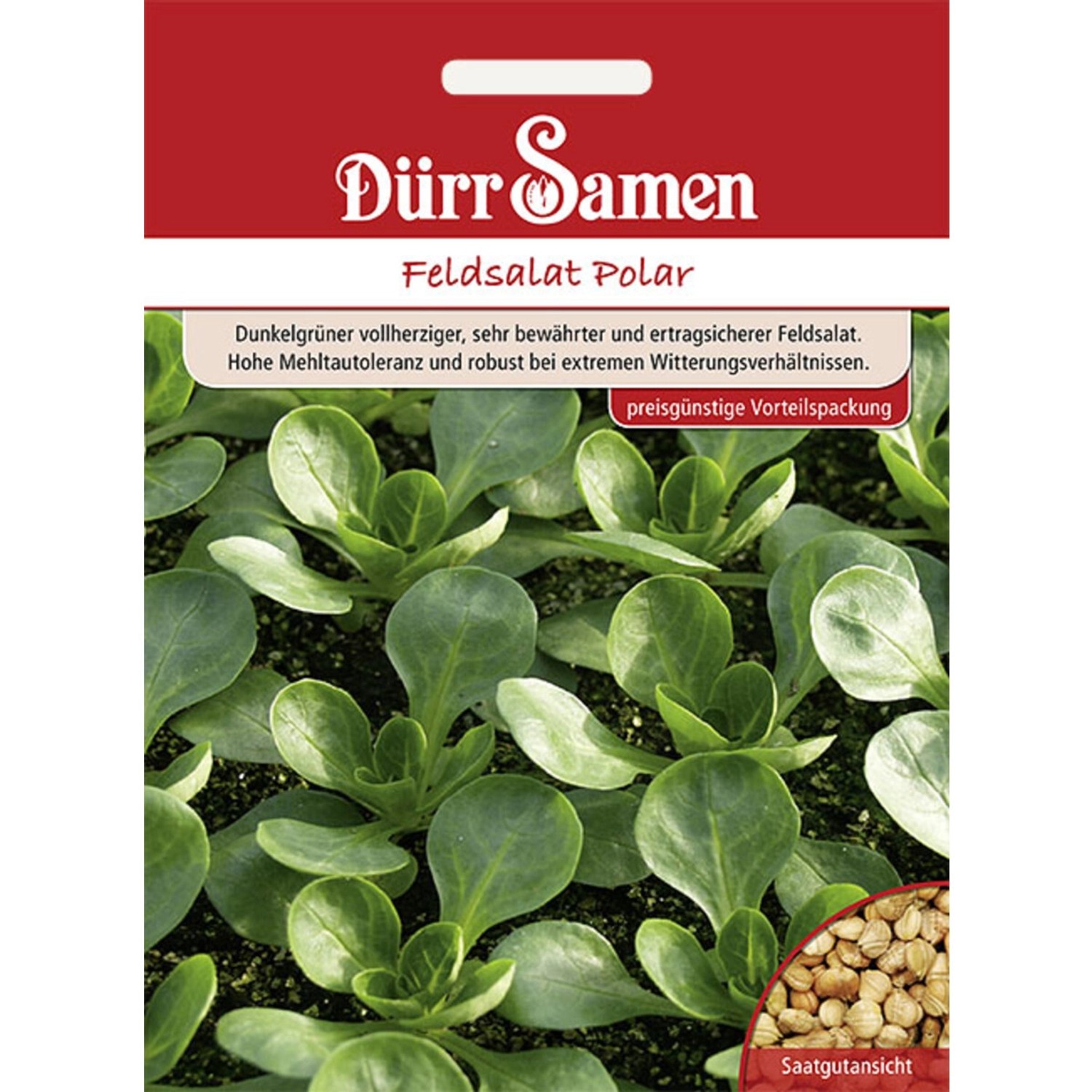 Dürr Samen Feldsalat Polar Saatgut Dürr Samen Feldsalat Polar Saatgut von Dürr Samen