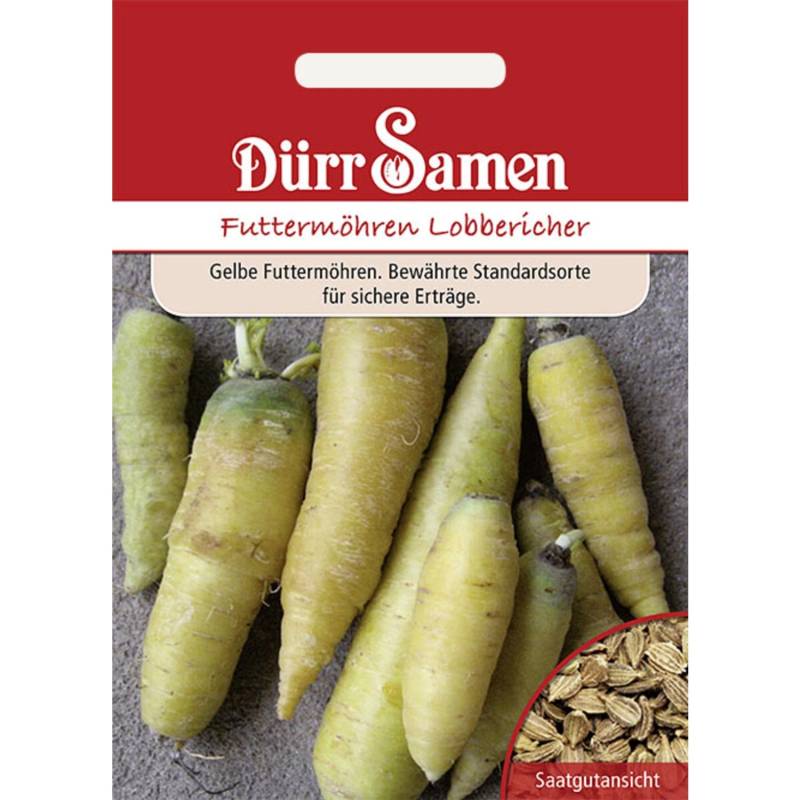 Dürr Samen Futtermöhren Lobbericher Saatgut von Dürr Samen