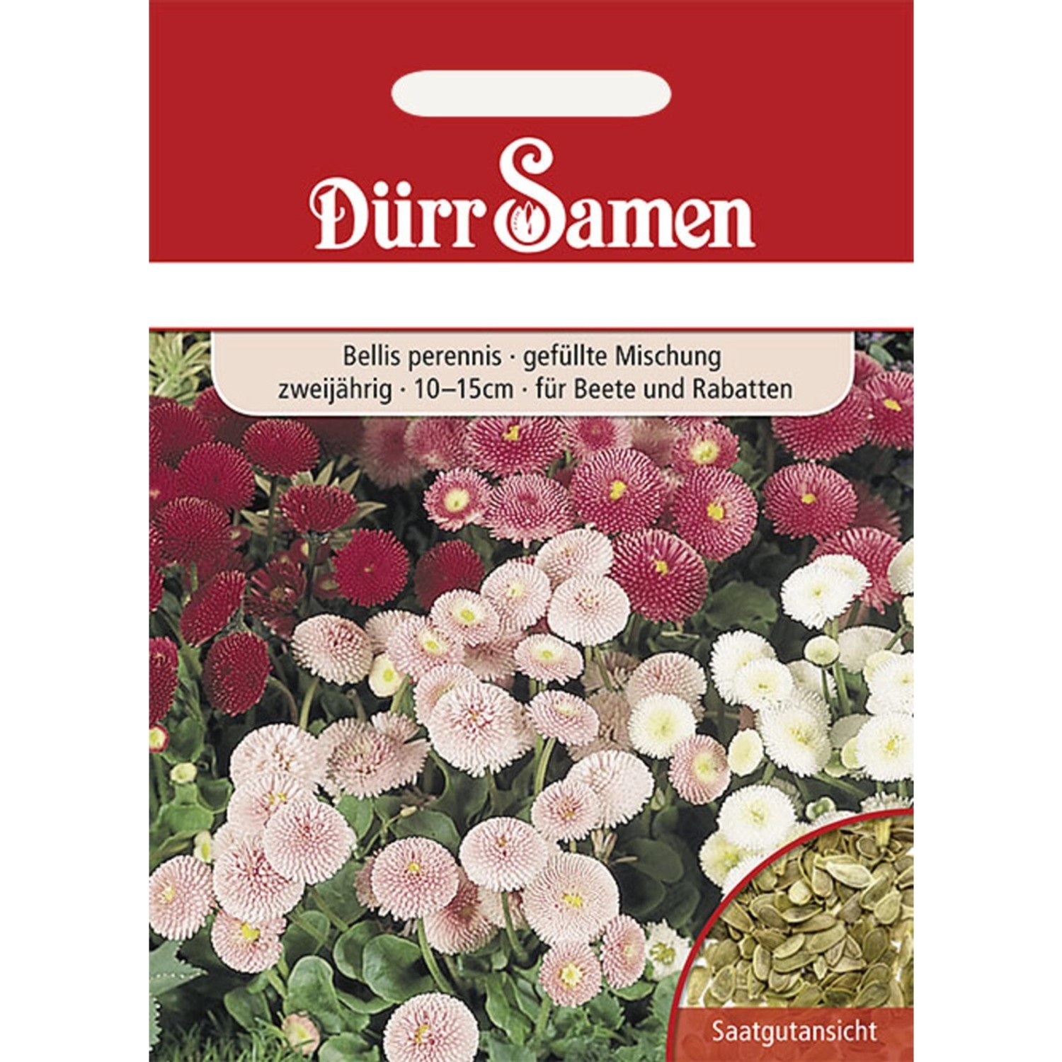 Dürr Samen Gänseblümchen Gefüllte Mischung Zweijährig Saatgut Dürr Samen Gänseblümchen Gefüllte Mischung Zweijährig Saatgut von Dürr Samen
