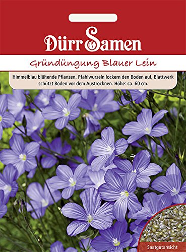 Dürr-Samen - Gründüngung Blauer Lein 60 g Saatgut von Dürr-Samen