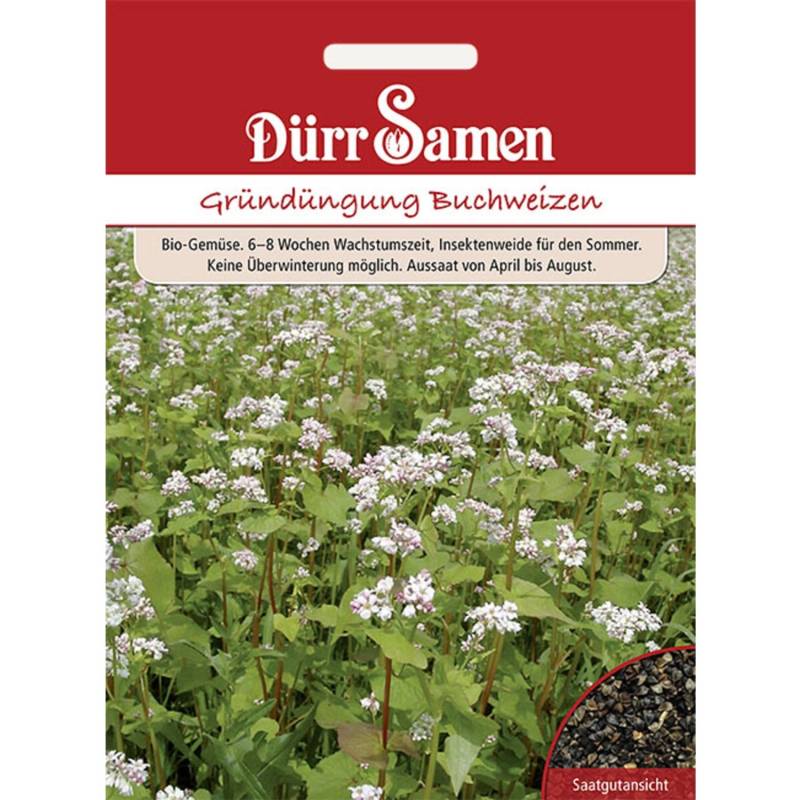 Dürr Samen Gründüngung Buchweizen 50 G Saatgut von Dürr Samen