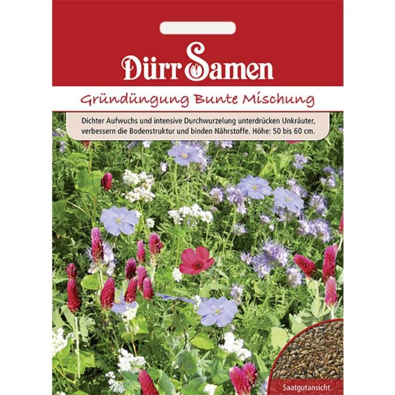 Dürr Samen Gründüngung Bunte Mischung 50 G Saatgut von Dürr Samen