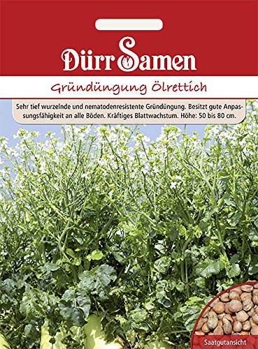 Dürr-Samen - Gründüngung Ölrettich 1 kg Saatgut von Dürr-Samen