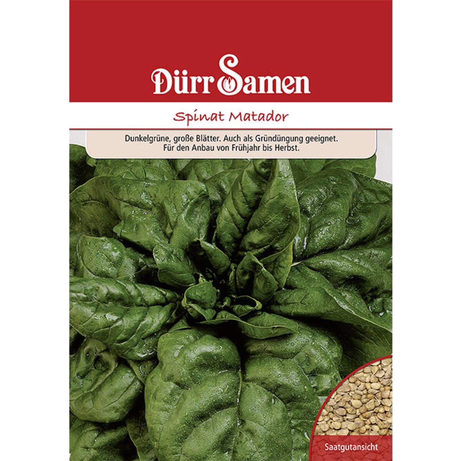 Dürr Samen Gründüngung Spinat Matador 1 Kg Saatgut Dürr Samen Gründüngung Spinat Matador 1 Kg Saatgut von Dürr Samen