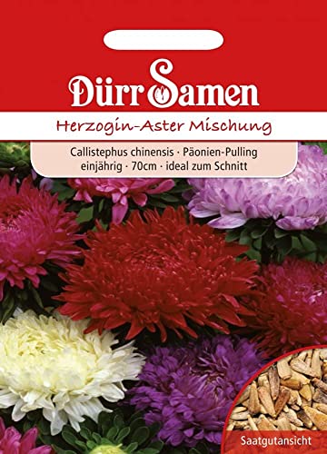 Herzoginaster Samen Mischung Herzoginasternsamen Astersamen Aster Schnittblume 70 cm Einjährig ca 250 Korn Garten Hochbeet Kübel Balkon Dürr Samen Herzoginaster Samen Mischung Herzoginasternsamen Astersamen Aster Schnittblume 70 cm Einjährig ca 250 Korn Garten Hochbeet Kübel Balkon Dürr Samen von Dürr-Samen