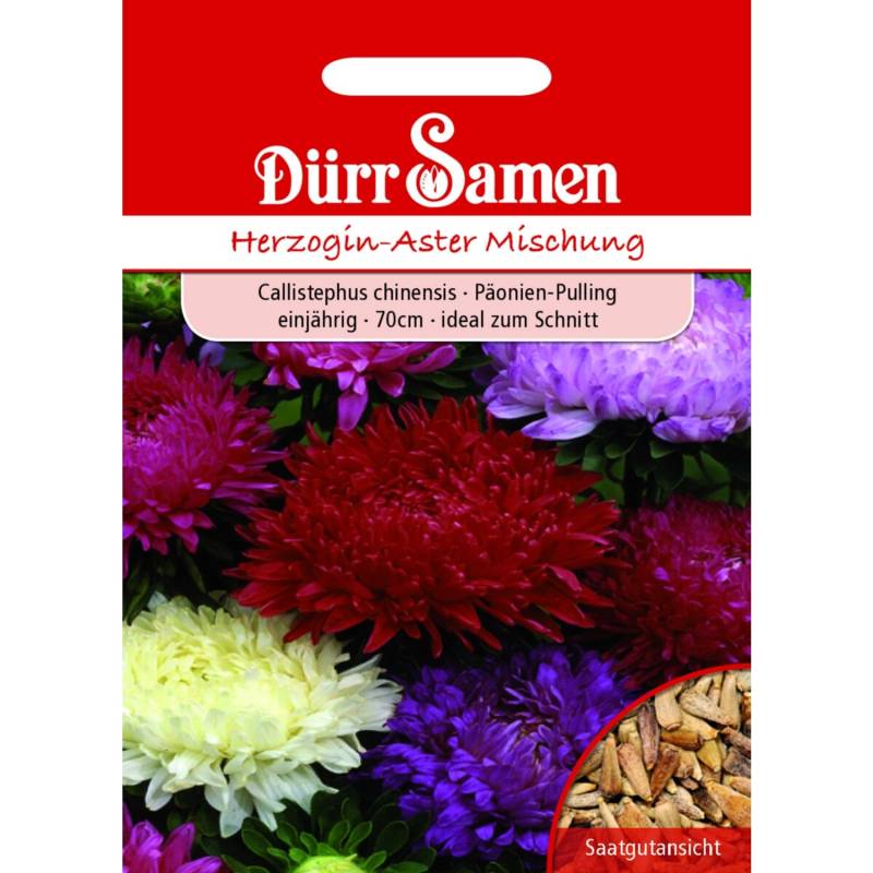 Dürr Samen Herzogin-Aster Prachtmischung Einjährig Saatgut von Dürr Samen