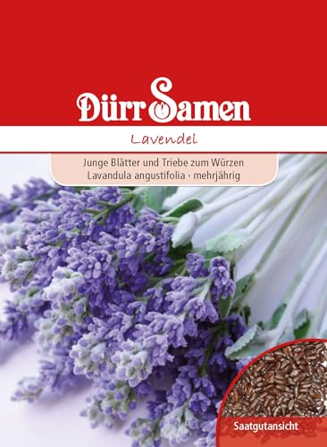 Lavendel Samen Lavendelsamen ca 100 Korn Heilkräuter Kräutersamen Heilpflanze Saatgut Balkon Garten Hochbeet Kübel Dürr Samen von Dürr-Samen