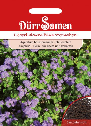 Dürr Samen 1301 Leberbalsam Blausternchen (Leberbalsamsamen) von Dürr-Samen