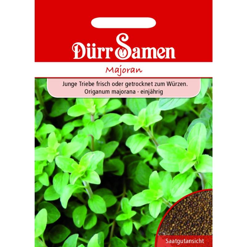 Dürr Samen Majoran Saatgut von Dürr Samen