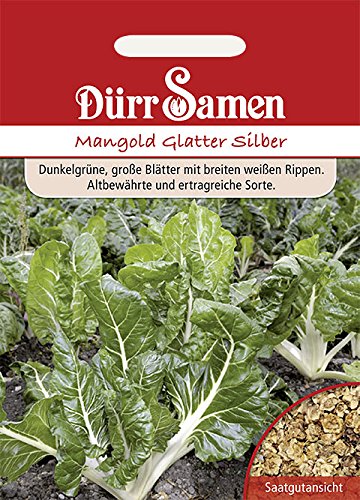 Dürr-Samen - Mangold Glatter Silber Saatgut von Dürr-Samen