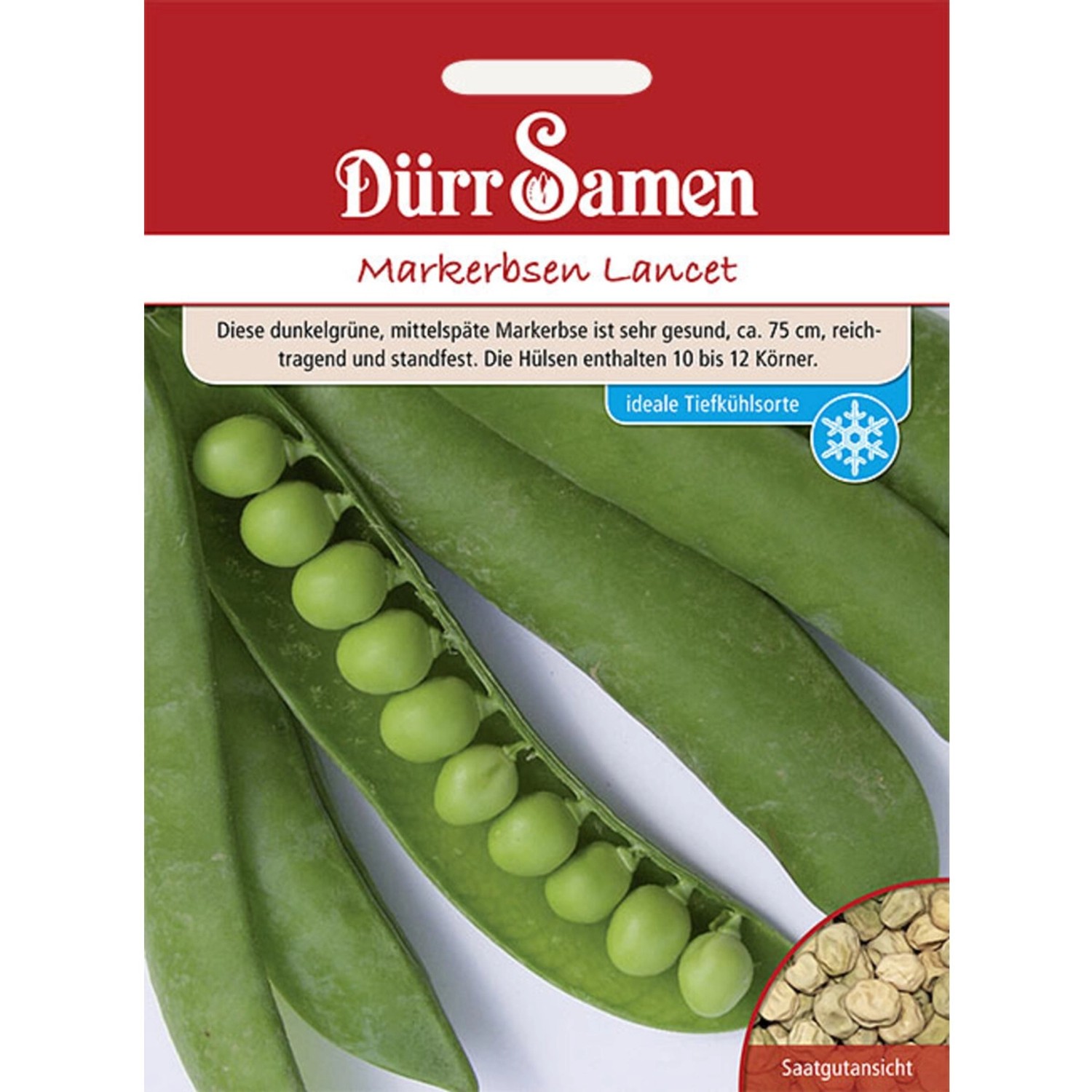 Dürr Samen Markerbsen Lancet Saatgut Dürr Samen Markerbsen Lancet Saatgut von Dürr Samen