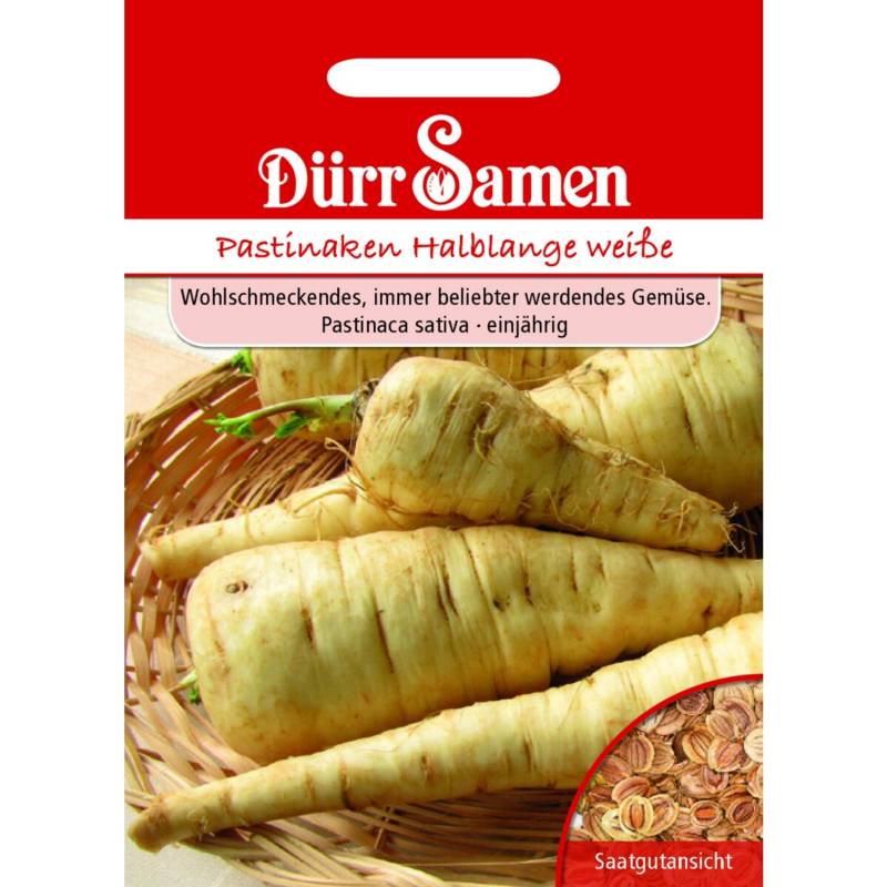 Dürr Samen Pastinaken Halblange Weiße Saatgut von Dürr Samen